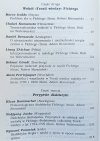 Filozofia transcendentalna a dialektyka