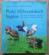 Grzegorz, Stanisław i Tomasz Kłosowscy Ptaki biebrzańskich bagien