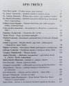 Dzieciństwo i sacrum. Studia i szkice literackie