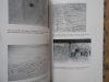 Teresa Ewa Wojna-Kenc • Power, Pasion and Pardon: the importance of graffiti and the written word in the context of those who have suffered through injustice, imprisonment and discrimination in Poland during the World War II period