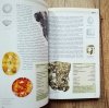 Ilustrowany atlas klejnotów i kamieni szlachetnych