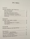 Teresa Kostyrko Obraz i jego konteksty. Esej o malarstwie Jana Spychalskiego