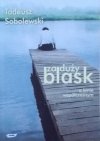 Tadeusz Sobolewski • Za duży blask: O kinie współczesnym 