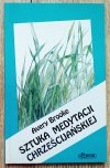 Avery Brooke Sztuka medytacji chrześcijańskiej