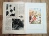 Tęcza. Ilustrowane Pismo Tygodniowe 7 kwietnia 1928