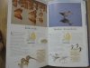 Ptaki Europy • Przewodnik obserwatora i wskazówki do identyfikacji
