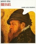 Bruegel • Geniusze sztuki