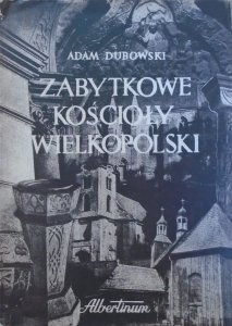 Adam Dubowski • Zabytkowe kościoły Wielkopolski