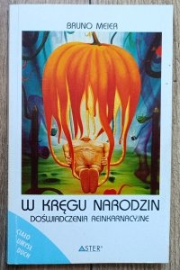 Bruno Meier • W kręgu narodzin. Doświadczenia reinkarnacyjne