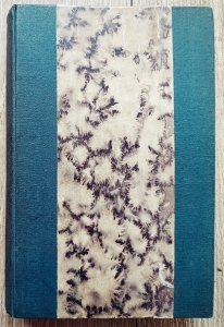 Artur Śliwiński • Joachim Lelewel. Zarys biograficzny lata 1786-1831