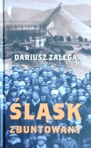 Dariusz Zalega • Śląsk zbuntowany