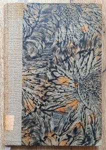 Stanisław Szwedowski • Walka z przestępczością. Studium społeczne