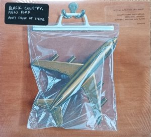 Black Country, New Road • Ants From Up There • CD