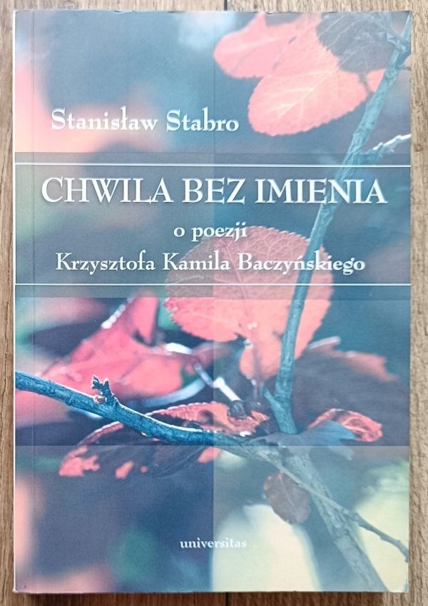 Stanisław Stabro Chwila bez imienia: o poezji Krzysztof Kamila Baczyńskiego