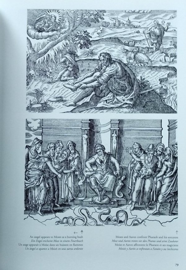 Images from the Bible • The Old Testament