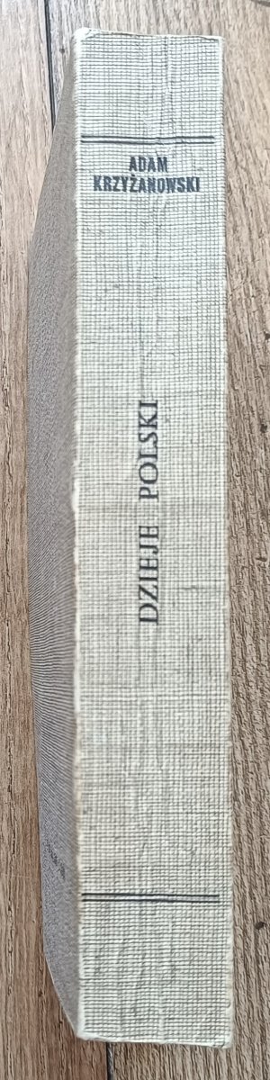 Adam Krzyżanowski Dzieje Polski / Instytut Literacki