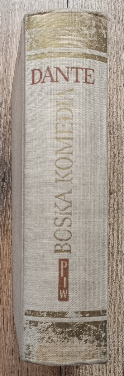 Dante Alighieri Boska komedia / wydanie ilustrowane