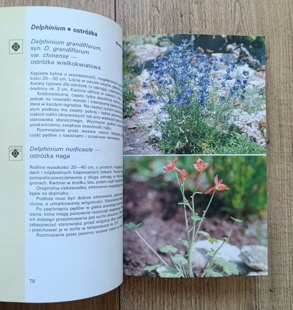 Eugeniusz Radziul Skalniaki