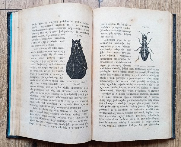 George Henry Lewes Fizjologia codziennego życia tom 2 / 1873