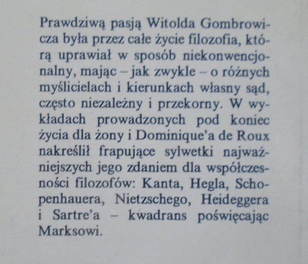 Witold Gombrowicz Przewodnik po filozofii w sześć godzin i kwadrans