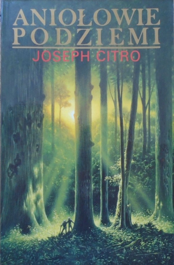 Joseph Citro • Aniołowie podziemi
