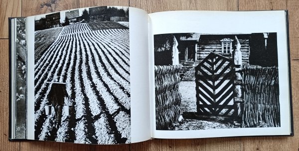 Edward Hartwig Wierzby