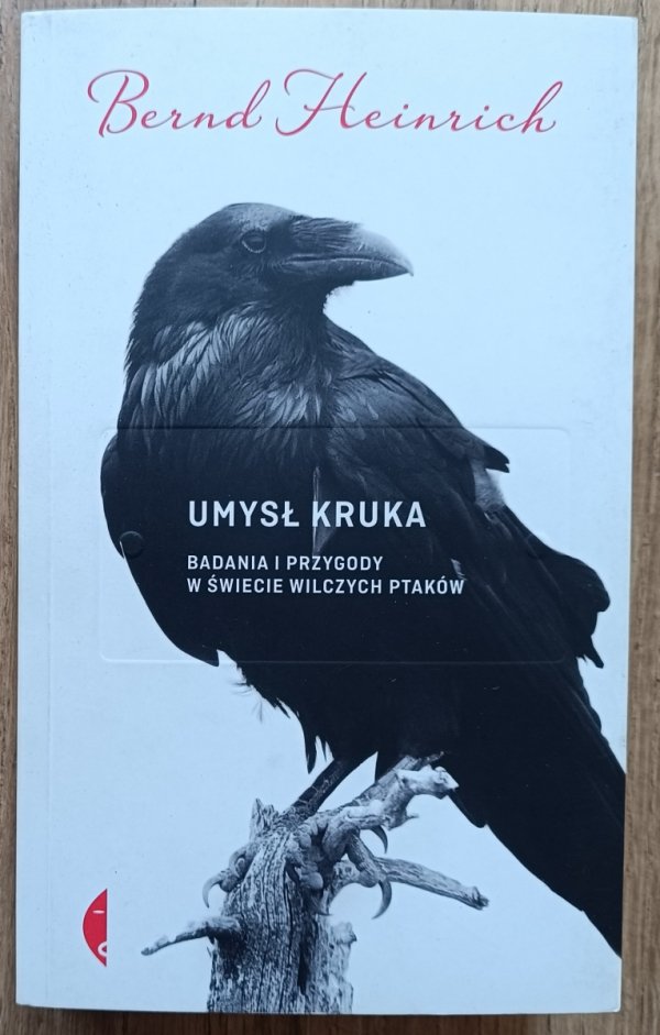 Bernd Heinrich Umysł kruka