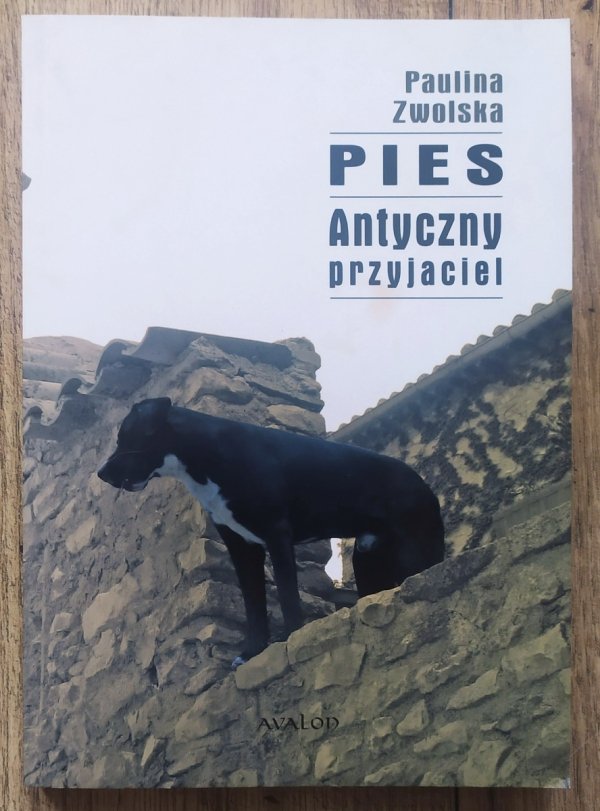 Paulina Zwolska Pies. Antyczny przyjaciel