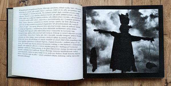 Edward Hartwig Wierzby