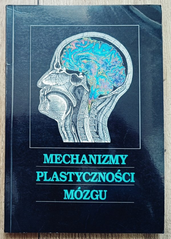 Mechanizmy plastyczności mózgu
