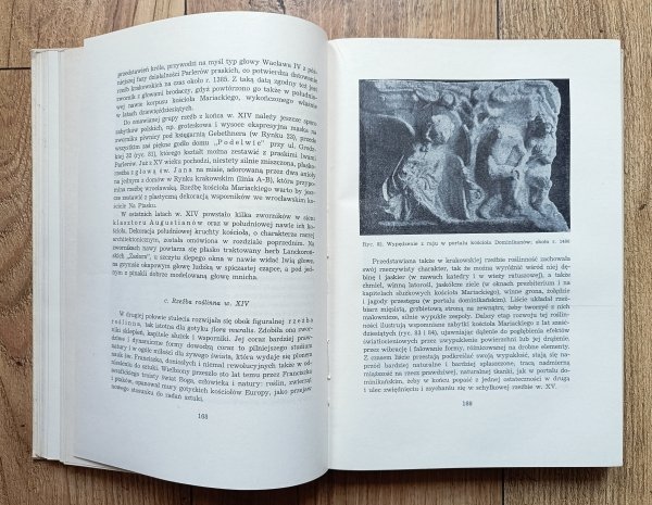 Tadeusz Dobrowolski Sztuka Krakowa