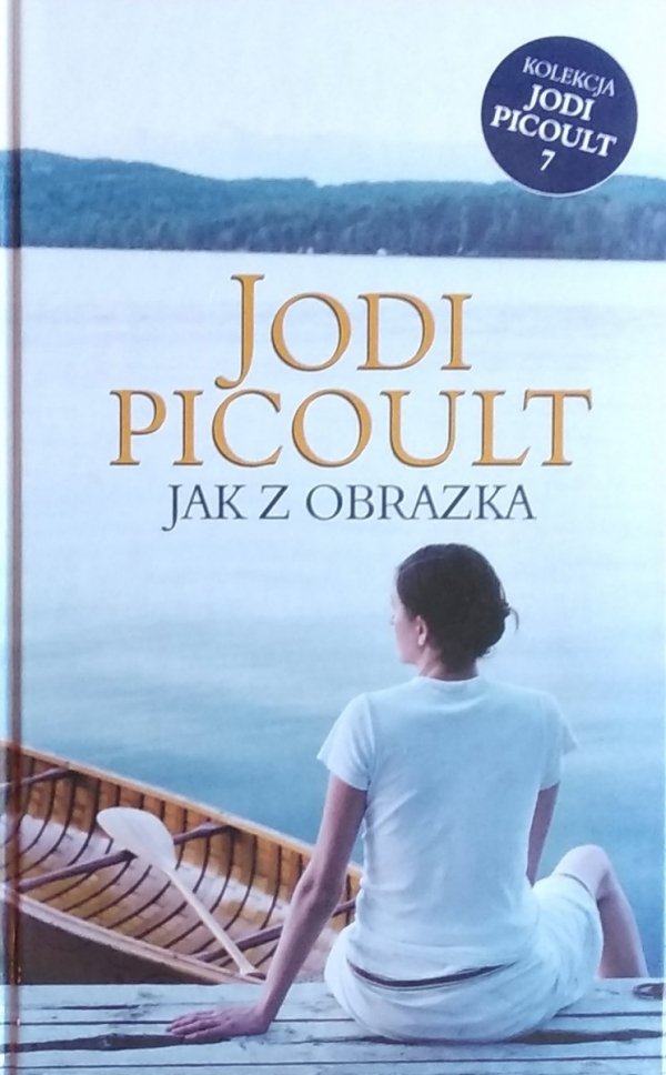Jodi Picoult • Jak z obrazka