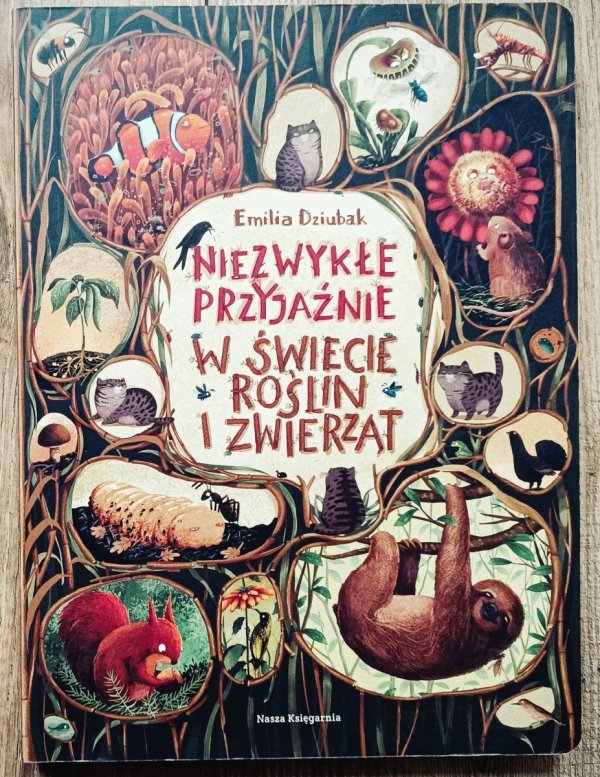 Niezwykłe przyjaźnie w świecie roślin i zwierząt