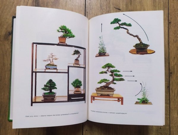 Andrzej Płochocki Bonsai - sztuka miniaturyzacji drzew i krzewów