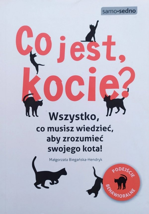 Małgorzata Biegańska-Hendryk Co jest, kocie? Wszystko co musisz wiedzieć, aby zrozumieć swojego kota!