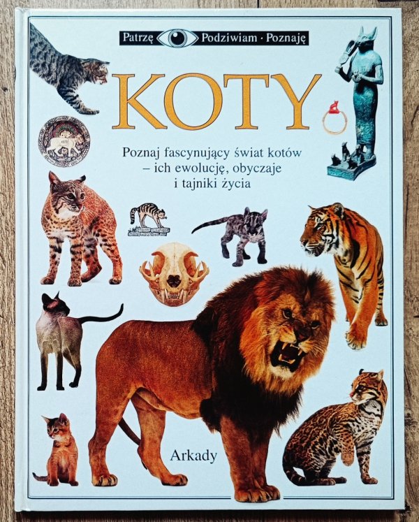 Koty. Patrzę Podziwiam Poznaję