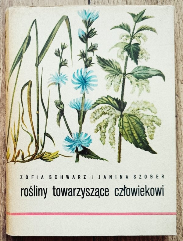 Rośliny towarzyszące człowiekowi
