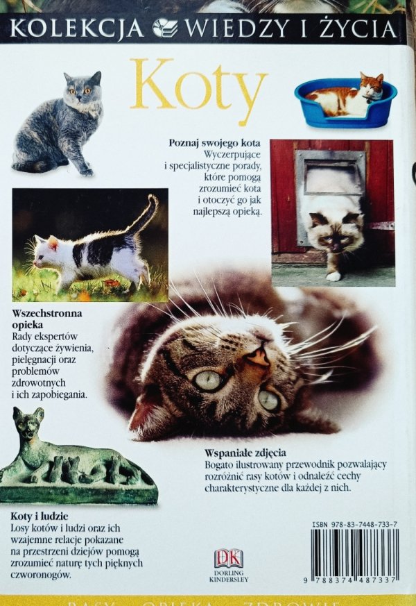 Bruce Fogle Koty. Kolekcja Wiedzy i Życia