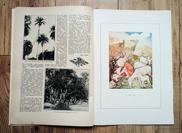 Tęcza. Ilustrowane Pismo Tygodniowe 7 kwietnia 1928