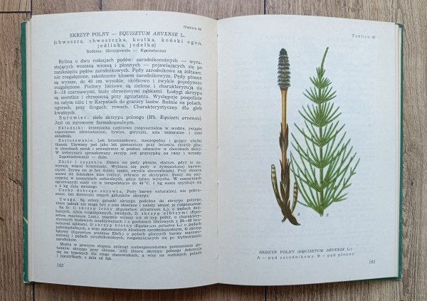 Poradnik zbieracza ziół / wydanie 1956