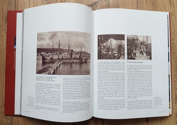 Loic Josse La Morue. Voyages et Usages