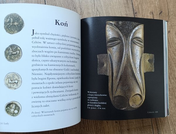 Święte symbole. Ludy, religie, misteria