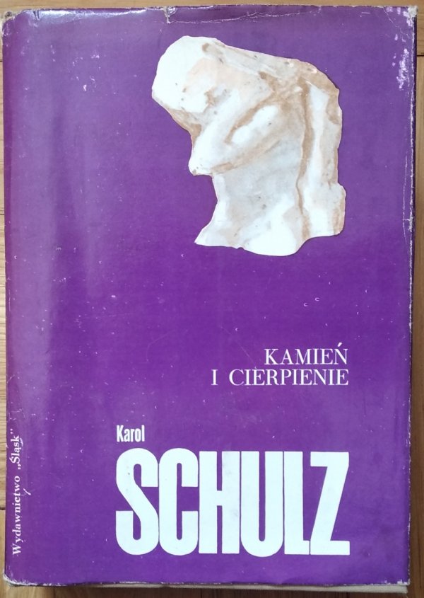 Karol Schulz • Kamień i cierpienie [Michał Anioł]