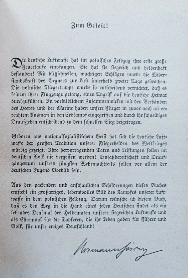 Luftwaffe schlägt zu! Der Luftkrieg in Polen / 1939