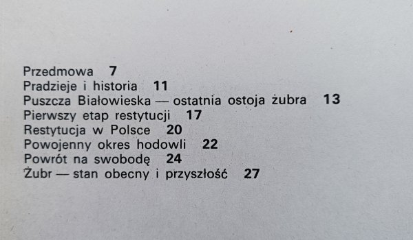 Jan Raczyński Żubr
