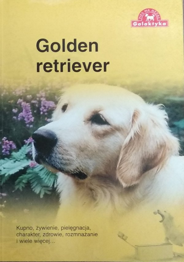 Over Dieren • Golden retriever