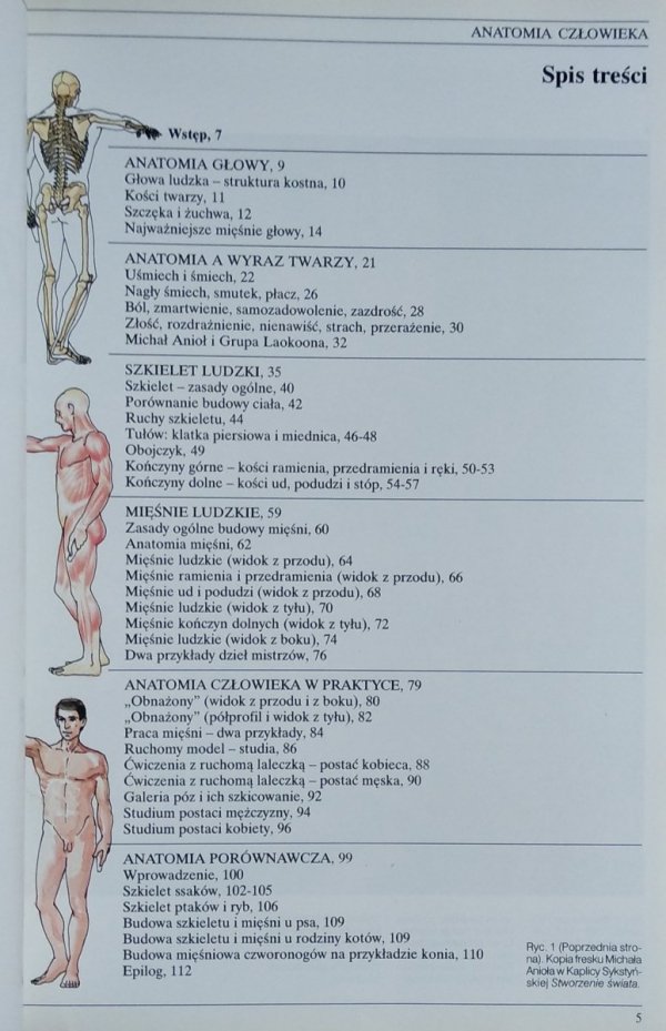 Jose Parramon Anatomia człowieka