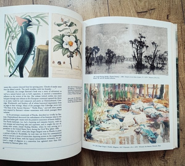 500 Years of Life in America. An Illustrated History