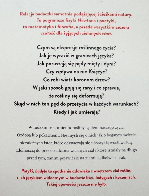Urszula Zajączkowska Patyki, badyle