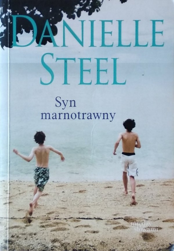 Danielle Steel • Syn marnotrawny